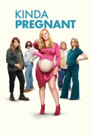 Kinda Pregnant (2025) Dual Audio [Hindi-English] NetFlix WEB-DL H264 AAC 1080p 720p 480p ESub