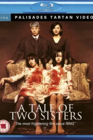 A Tale of Two Sisters (2003) Dual Audio [Hindi-Korean] BluRay H264 AAC 1080p 720p 480p ESub