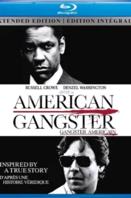 American Gangster (2007) Dual Audio [Hindi-English] BluRay H264 AAC 1080p 720p 480p ESub