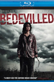 Bedevilled (2010) Dual Audio [Hindi-Korean] BluRay H264 AAC 1080p 720p 480p ESub