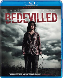 Bedevilled (2010) Dual Audio [Hindi-Korean] BluRay H264 AAC 1080p 720p 480p ESub