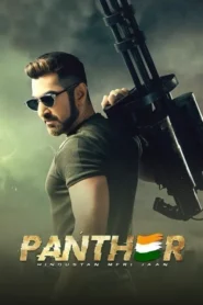 Panther (2019) Bengali Zee5 WEB-DL H264 AAC 1080p 720p 480p ESub