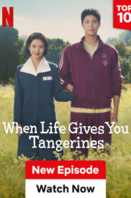 When Life Gives You Tangerines (2025) S01E09-12 Dual Audio [Hindi-English] NetFlix WEB-DL H264 AAC 1080p 720p 480p ESub