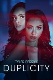 Tyler Perry’s Duplicity (2025) Dual Audio [Hindi-English] AMZN WEB-DL H264 AAC 1080p 720p 480p ESub